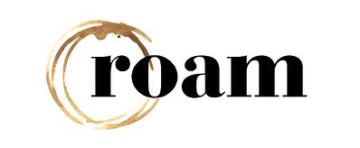 Starlink Roam