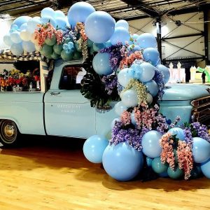 Gallery for Balooms (10)