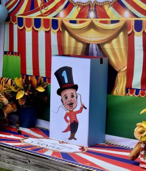 baby ringmaster Background