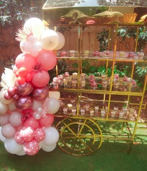 Treat cart
